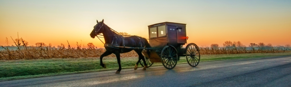 Amish Buggy