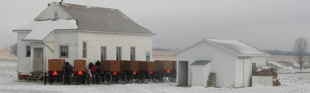 Amish Buggies