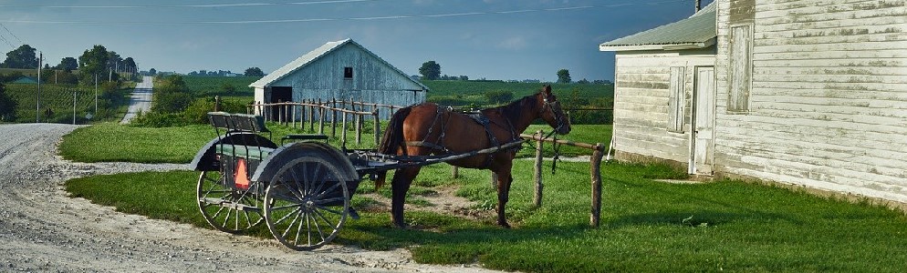 Amish Buggy