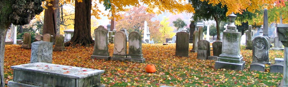 Laurel Hill Cemetery 