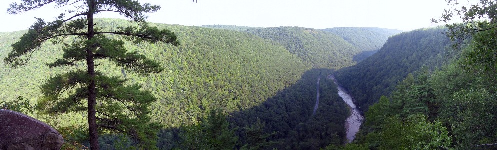 PA Grand Canyon from Leonard Harrison Overlook