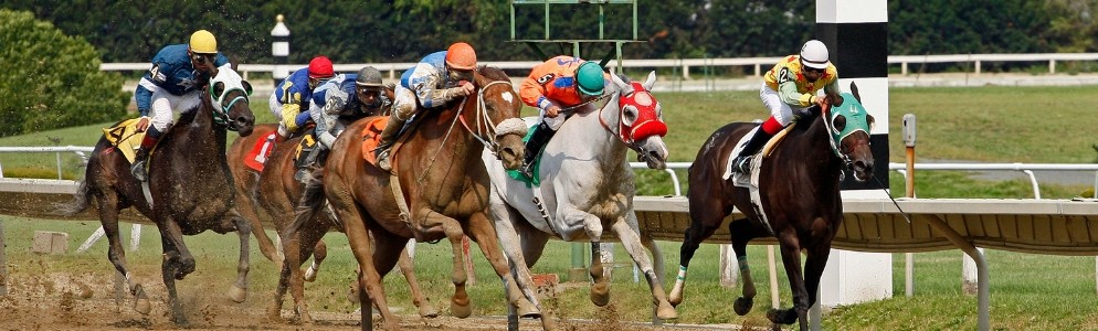 Unbridled Spirit