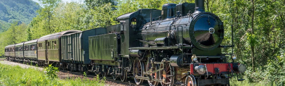 Biltmore Estate during the Holidays